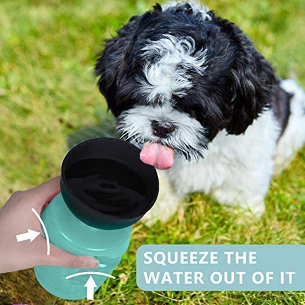 Travel Must Haves Foldable Cap Outdoor Dog Water Bottle